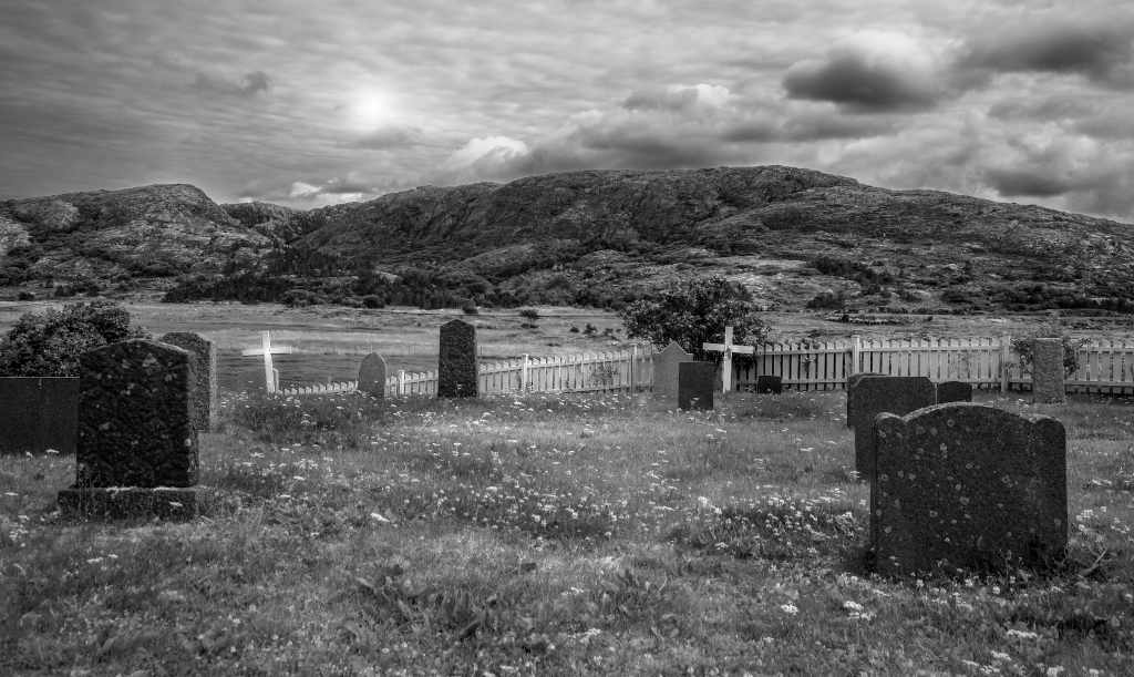 Black and white image of an overgrown graveyard